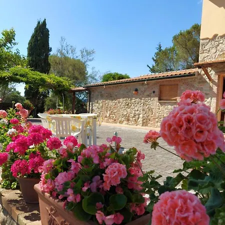 Agriturismo Mezzo Poggio Suvereto Exterior photo