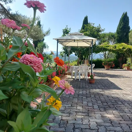 Agriturismo Mezzo Poggio Suvereto Room photo