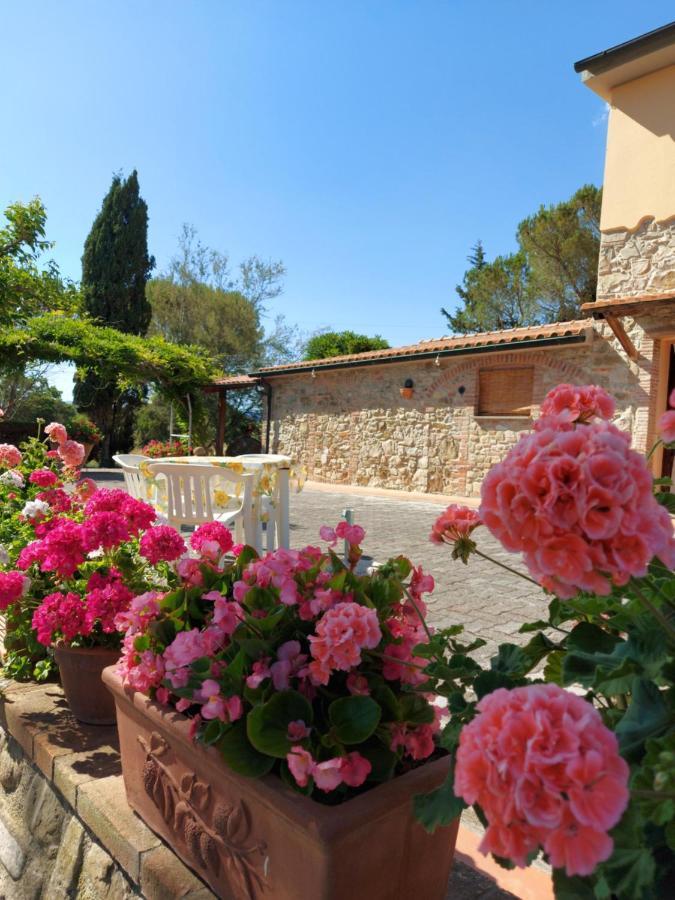 Apartment Mezzo Poggio Suvereto