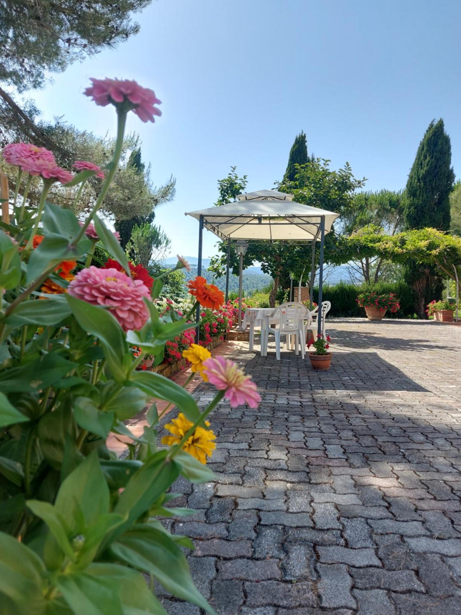Mezzo Poggio Apartment